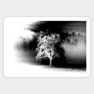 Tree negative art / Swiss Artwork Photography Sticker